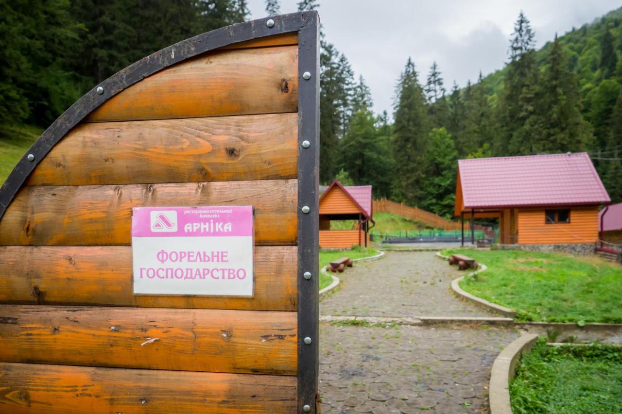 Арніка Hotel Synevyrs'ka Polyana Ngoại thất bức ảnh